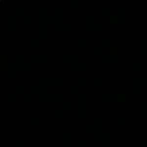 Meet your Posher, Daisy